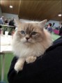 /album/benson/benson-2015-03-10-6-jpg1/